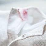 Robe-trapeze-ange-detail